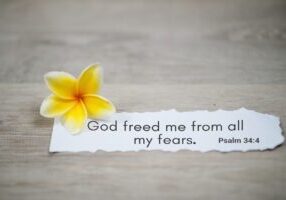 Bible verse quote - God freed me from all my fears. Psalm 34:4 . Spiritual or religious inspirational text message on white torn paper note with a yellow frangipani spring flower on white background.